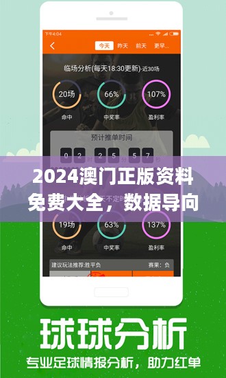 新澳2024资料免费大全版,功能性操作方案制定_FHD64.340